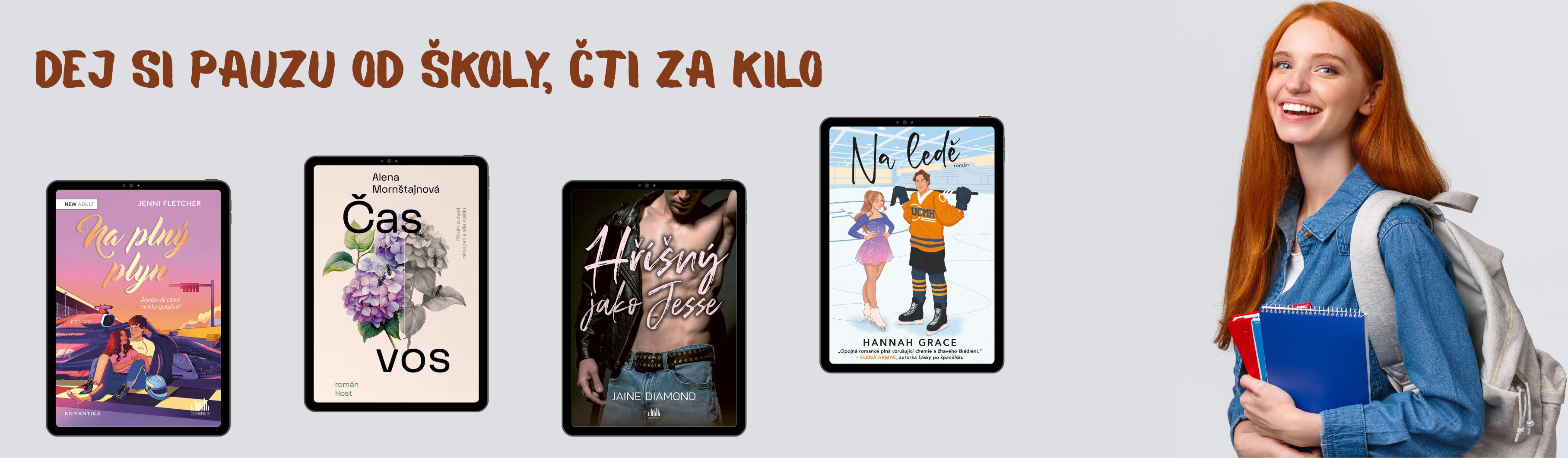 Cestovní literatura